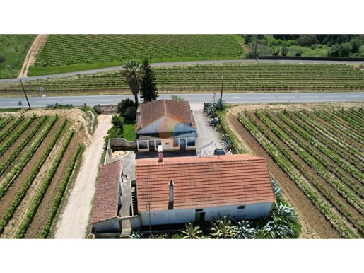 Quinta no Campo, com produção de vinho - Região Oeste