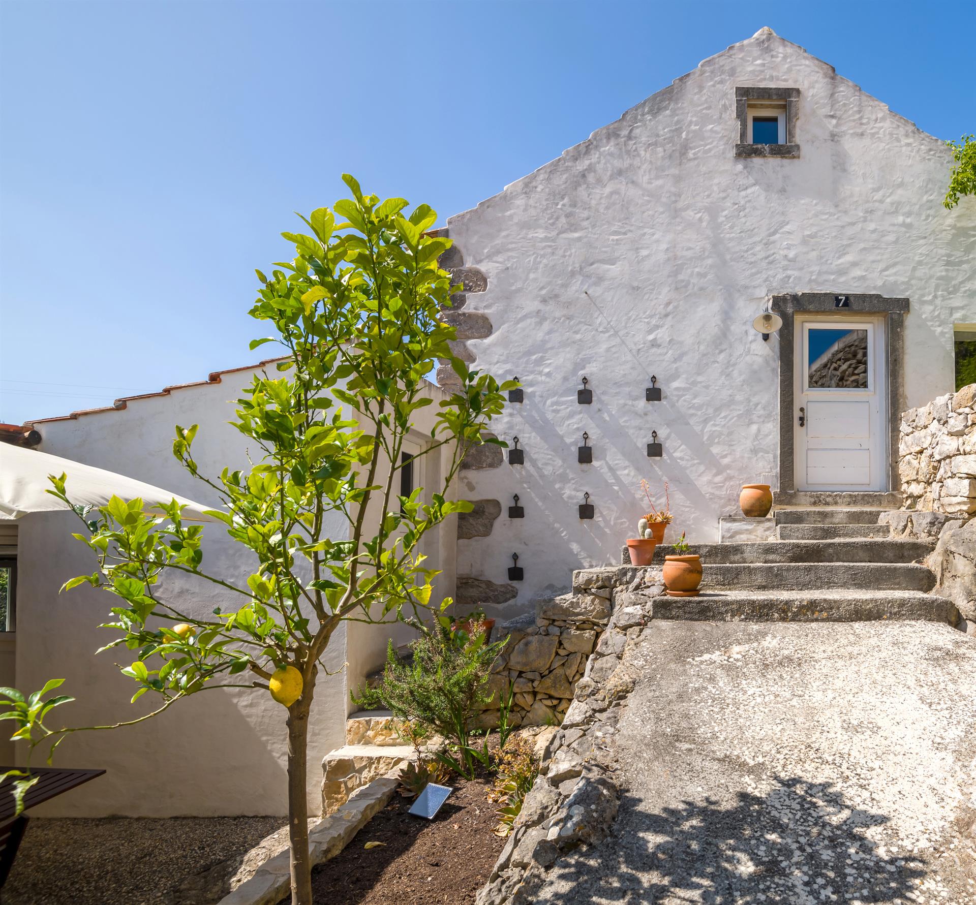 Country Villa Retreat in Historic Reguengo Grande: Nature's Embrace!