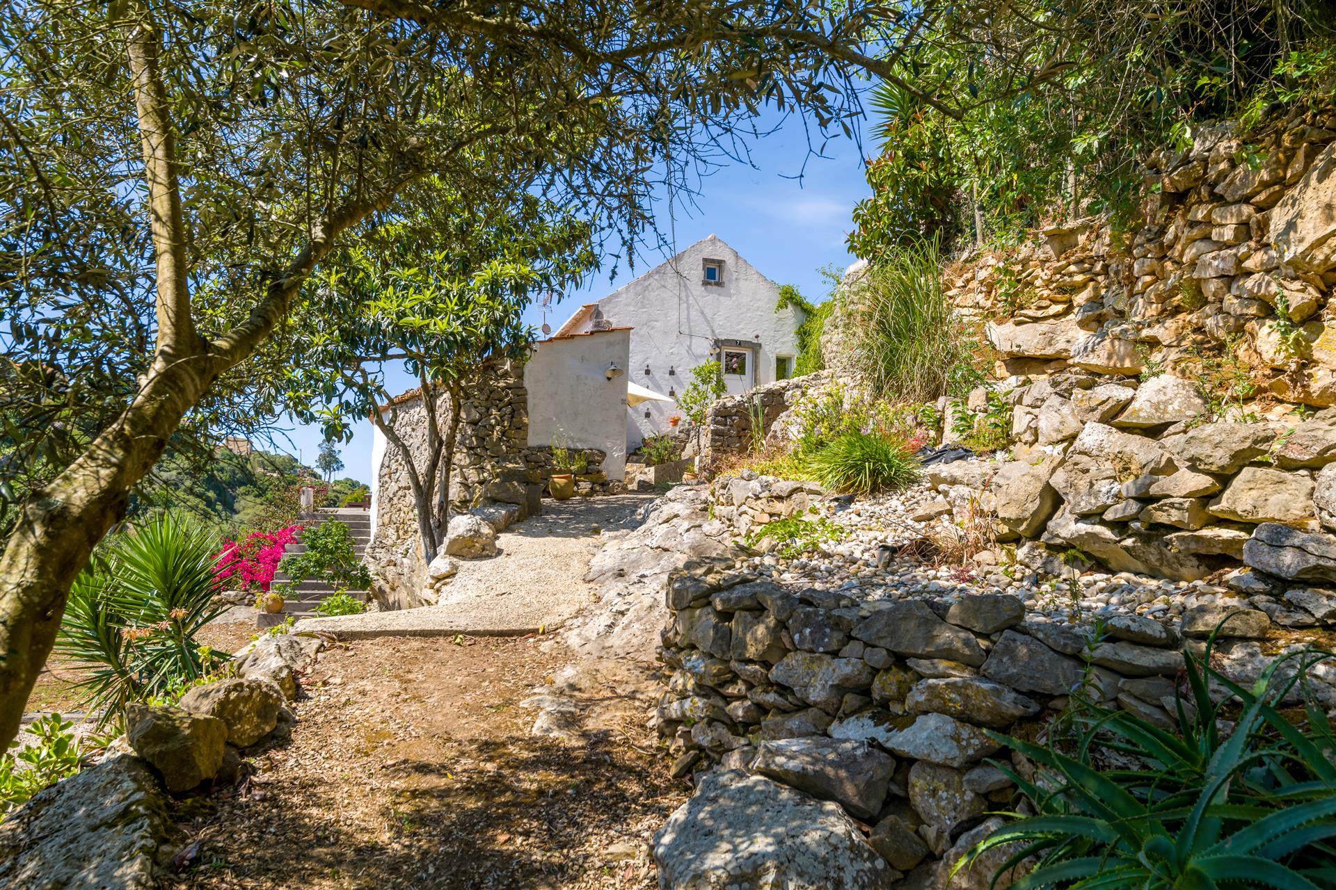 Country Villa Retreat in Historic Reguengo Grande: Nature's Embrace!