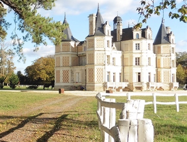 Magnificent castle of the XIXo century on more than 30 Hectares Clos
