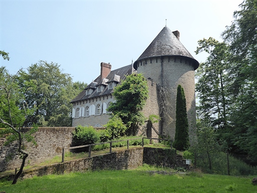 Château XVIo, XXo avec piscine et étangs sur 35ha 13a 10ca