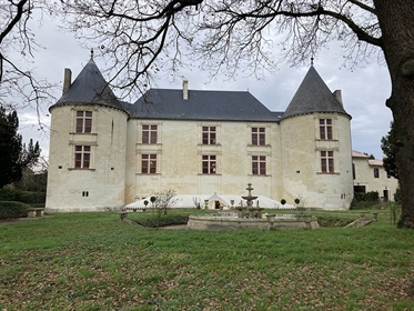 16Th century Renaissance castle (Ismh) near Poitiers on 4468m2 of enclosed land