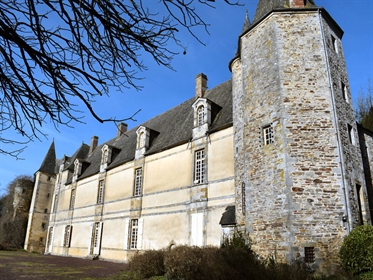 Château Mh XIVo-XVIo en 16ha de bosques y estanques parque