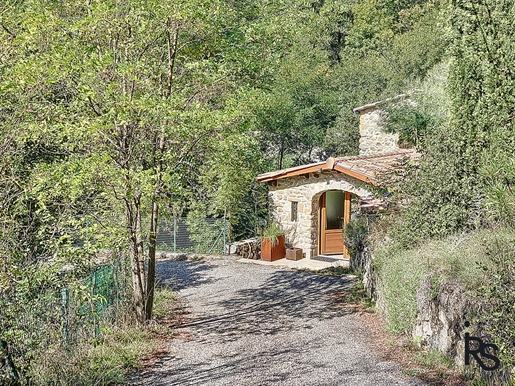 A charming stone house of 61 m2 hab. With 4334 m2 of land, a swimming pool and a riverside