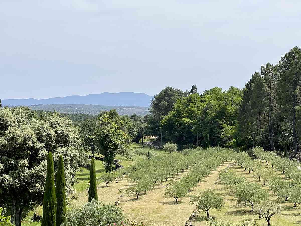 An exceptional renovated farmhouse of 196 m2 with 1.6 ha of land and a swimming pool with pool hous