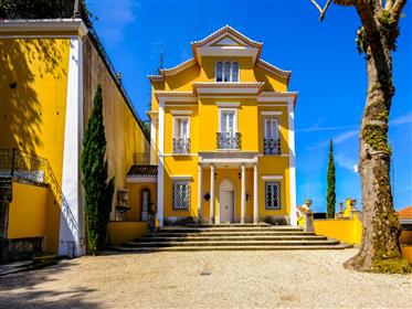 Fantastisk palass i Sintra
