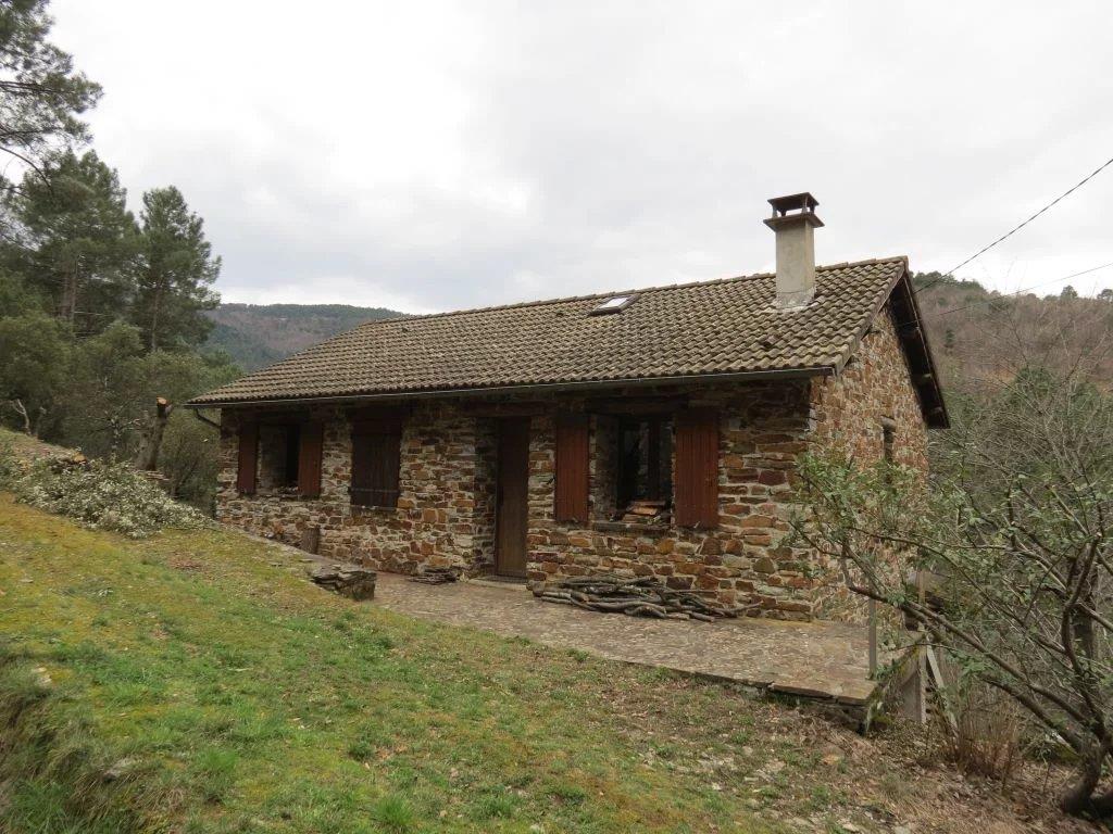 House with a view