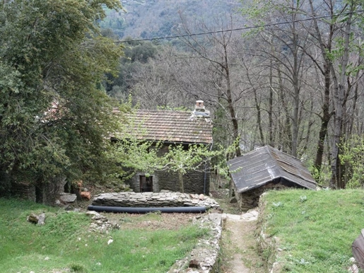 Haus am Rande eines Weilers