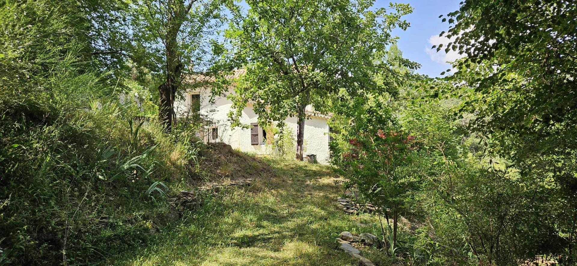 Renovated house, studio, land and views