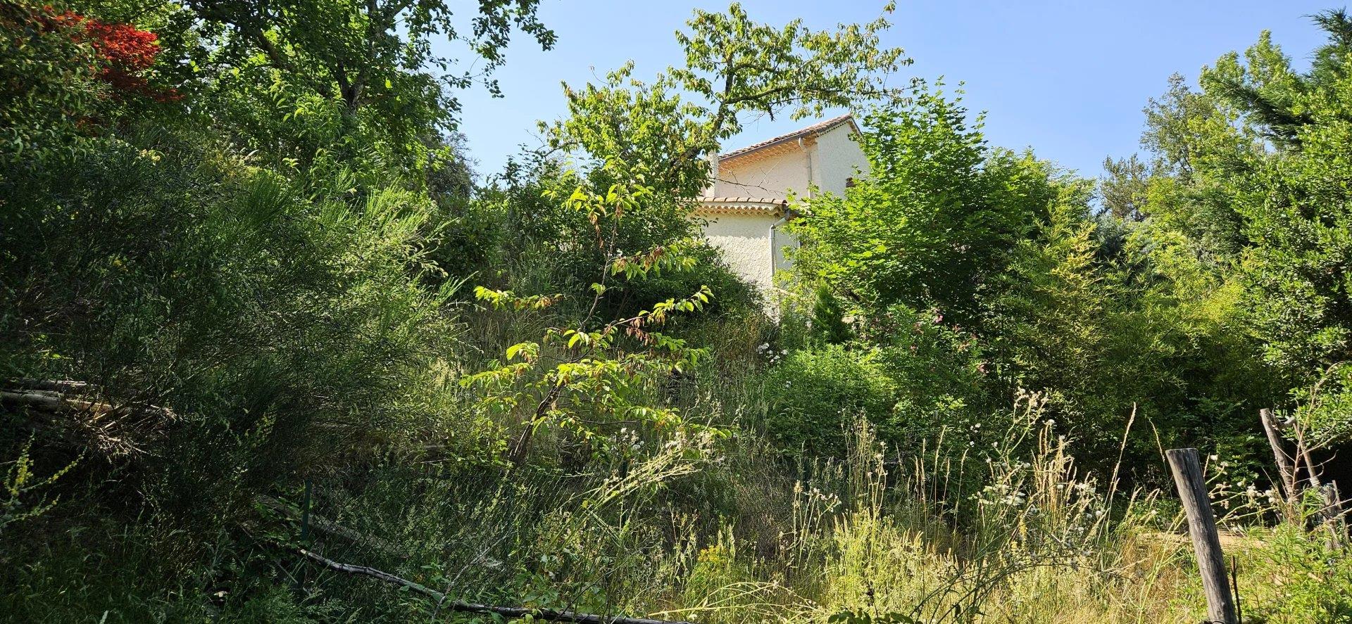 Renovated house, studio, land and views