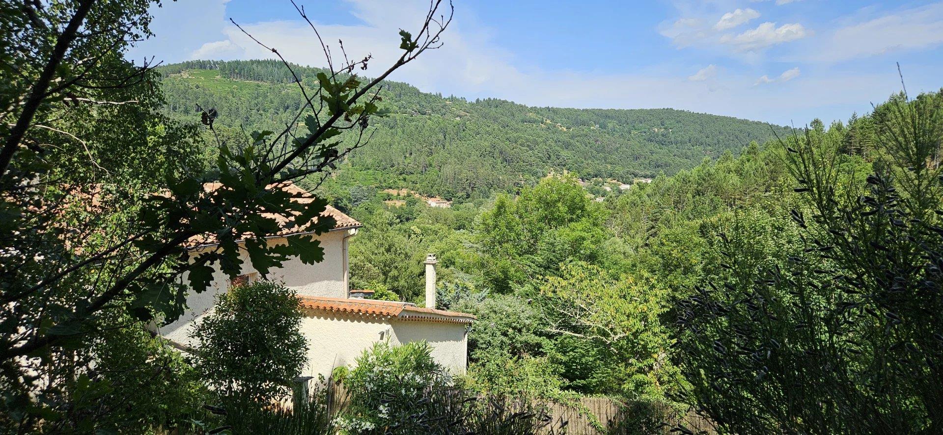 Renovated house, studio, land and views