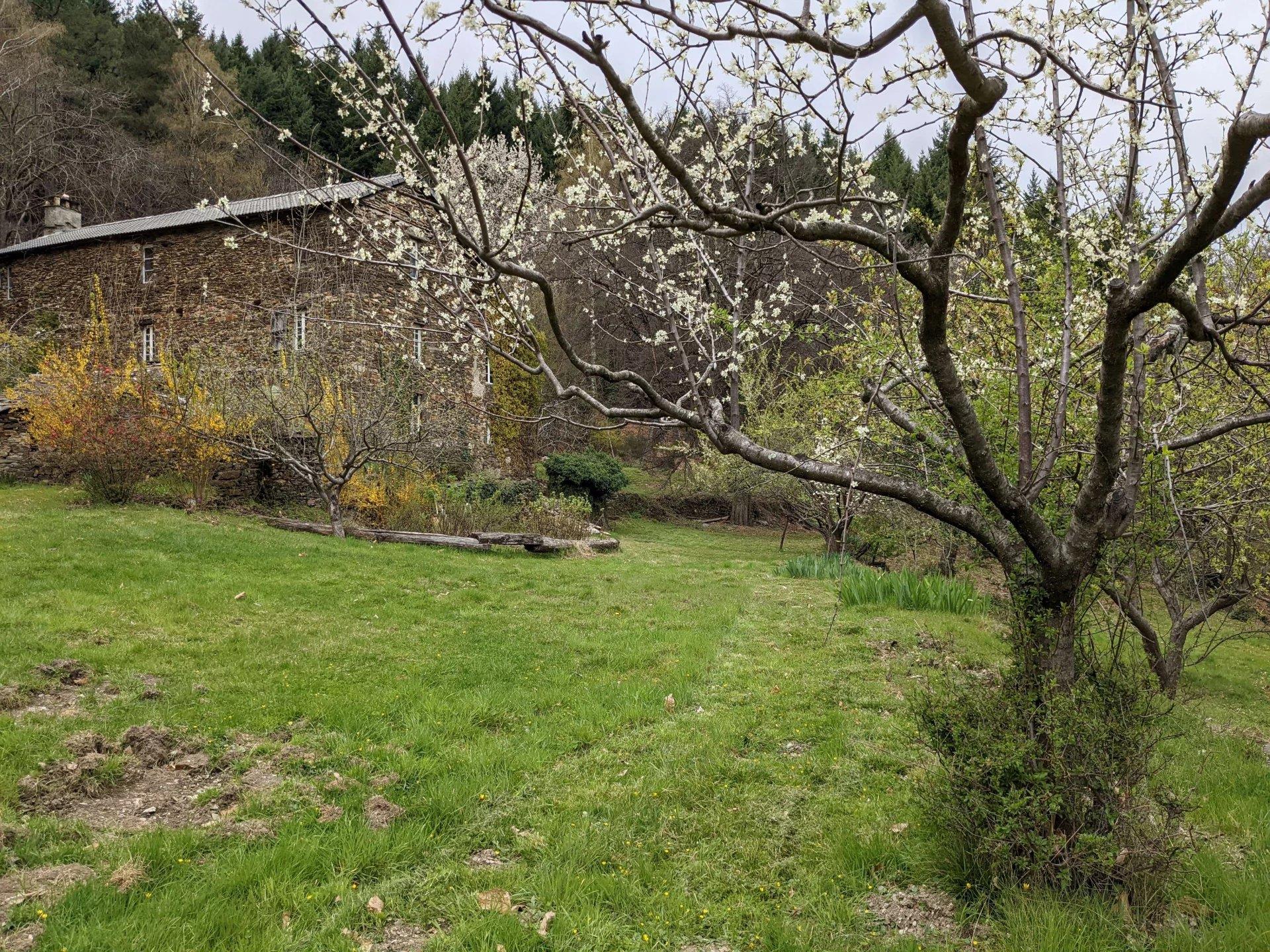Stone house with land