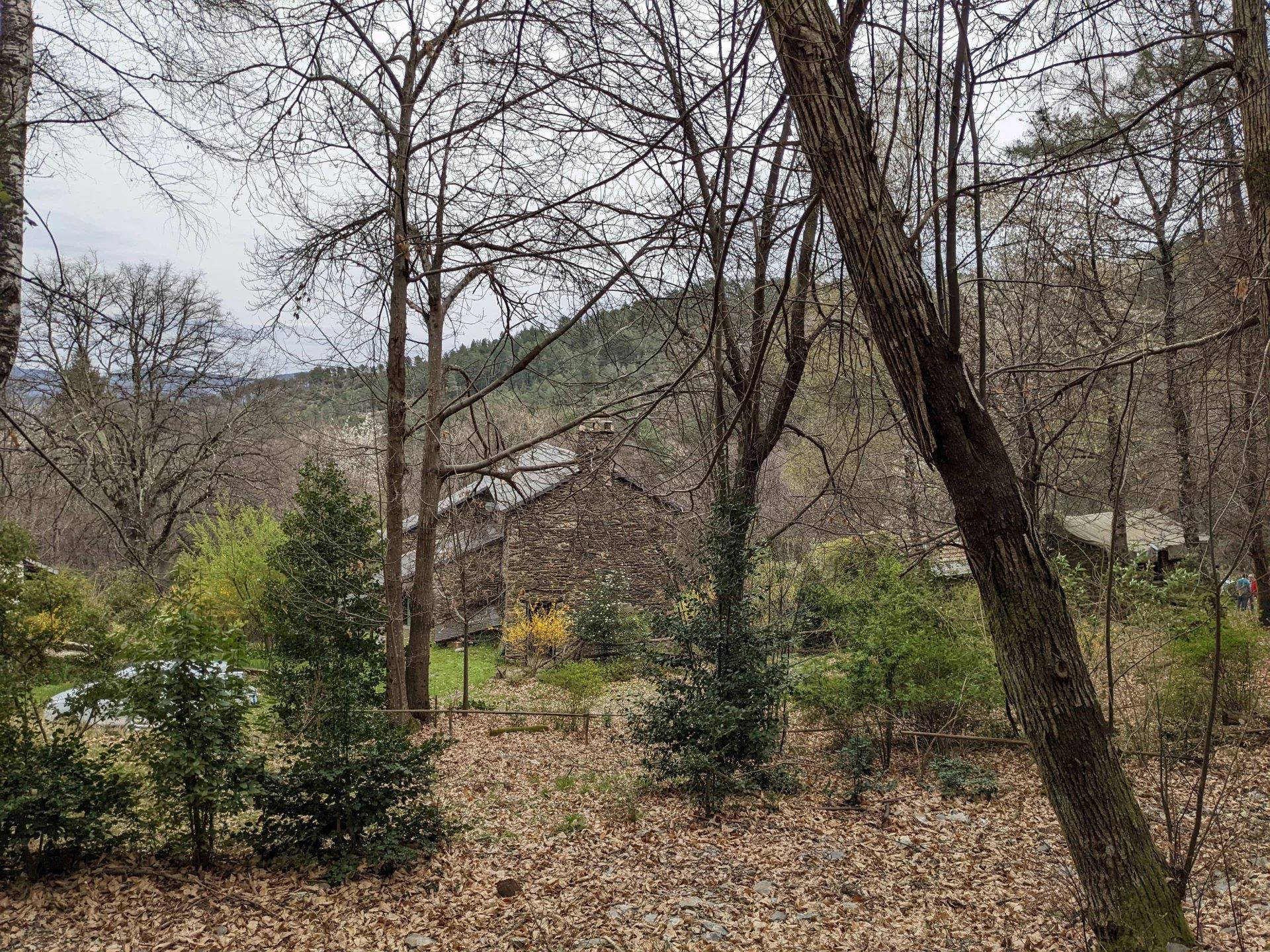 Stone house with land
