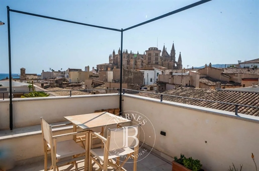 Apartamento lujoso con terraza privada en el corazón de Palma