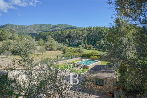 Beautiful finca with pool, apartment and magnificient view
