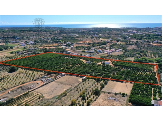 Plot with rustic house with approved project in Fonte Santa