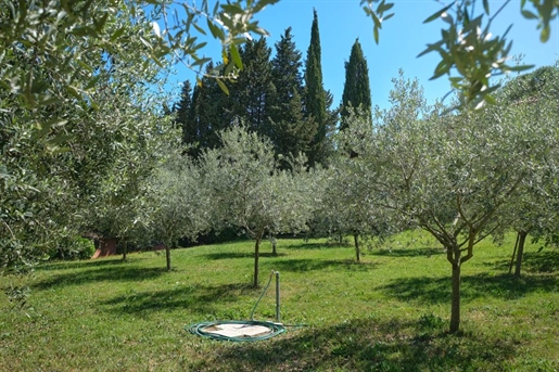 Provencale property - walking distance to the old village