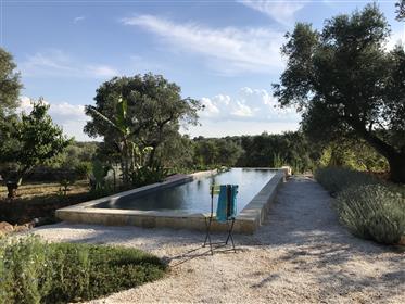Trulli And Lamie Luxury With Pool In Ostuni