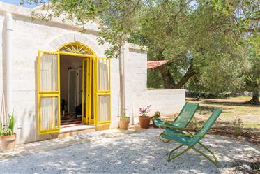 Trulli And Lamie Luxury With Pool In Ostuni