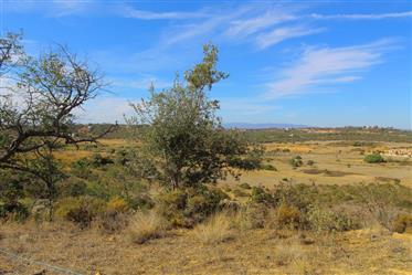 Algarve - Silves - Mixed land for sale, with 122.000 m2 and with a ruin, in Algoz