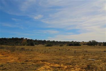 Algarve - Silves - Mixed land for sale, with 122.000 m2 and with a ruin, in Algoz
