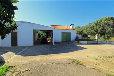 Algarve - Boliqueime - 4 slaapkamer villa te koop in Patã de Cima, met een prachtig land met fruitb