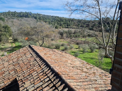 Maison de hameau au calme absolu avec terrasse, un chai de 100m2 sur 6.007m2 de terrain avec olivera