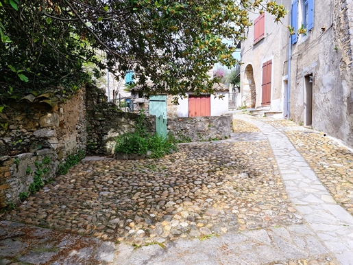 Village house 240m2 (including 80m2 of cellars) in stone with terrace and swimming pool