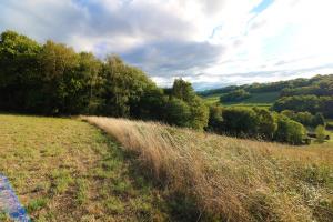 Agricultural estate with Old Farm, outbuildings, 18ha of land