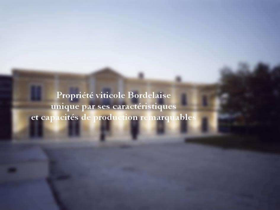Château e sua importante propriedade vinícola à venda no Borde