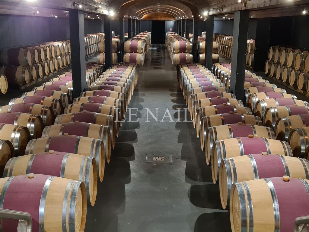 Château e sua importante propriedade vinícola à venda no Borde