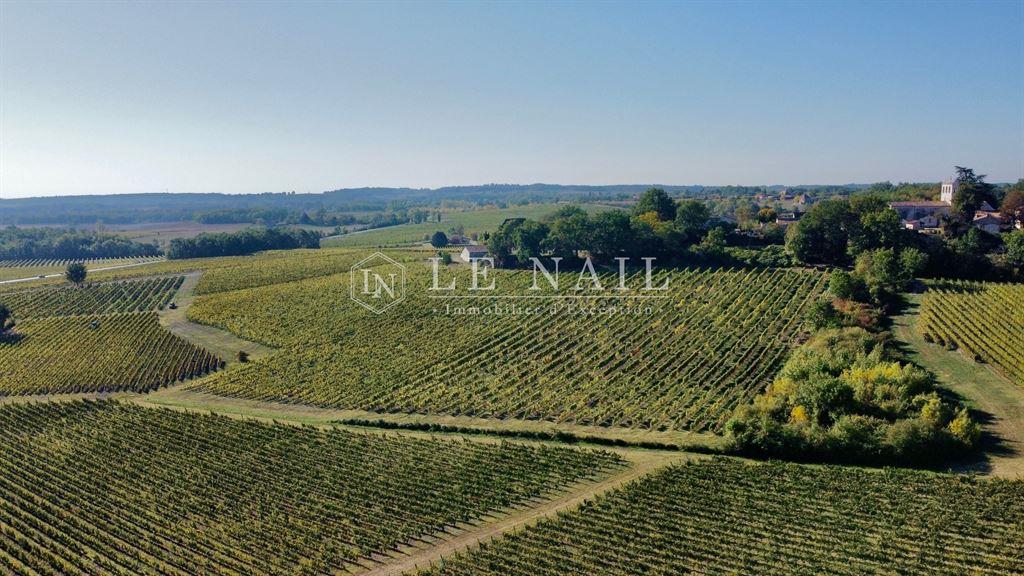 French exceptional vineyards for sale in southern Périgord (near Bergerac - Dordogne)