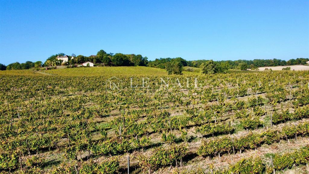 French exceptional vineyards for sale in southern Périgord (near Bergerac - Dordogne)