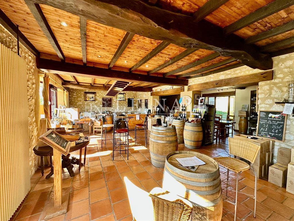 French exceptional vineyards for sale in southern Périgord (near Bergerac - Dordogne)