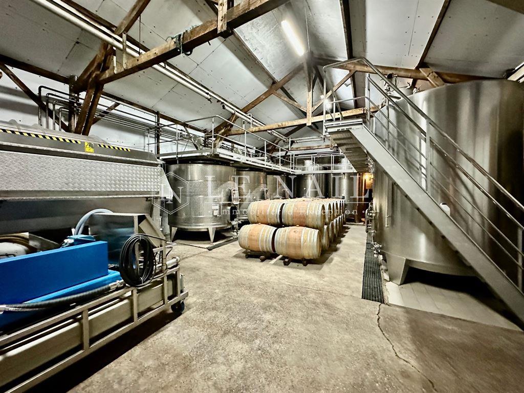 French exceptional vineyards for sale in southern Périgord (near Bergerac - Dordogne)