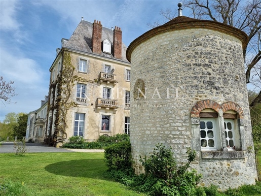 Chateau with its lodges for sale on a part wooded 71 acre-estate with lake in South Touraine.