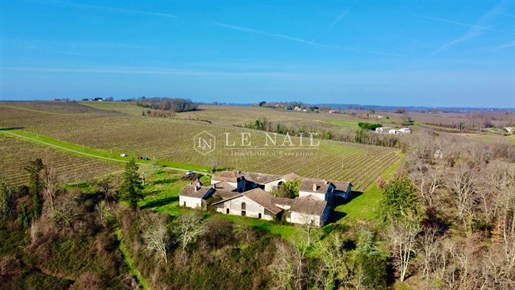 Ref. 4272: For sales, Château XIXth C. To renovate