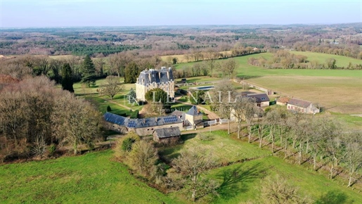 Major real estate structure with chateau and 136 acres near Le Mans (Sarthe department)