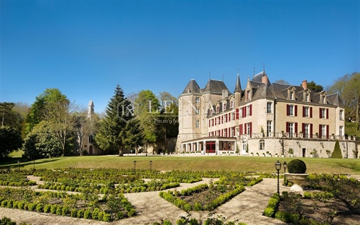 Magnificent chateau hotel for sale with restaurant in le Loire Valley