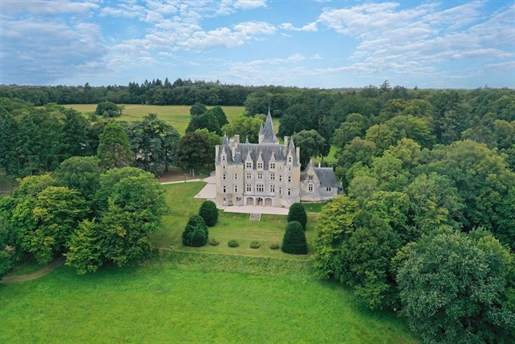 Magnifique château à vendre entre Le Mans et Tours.