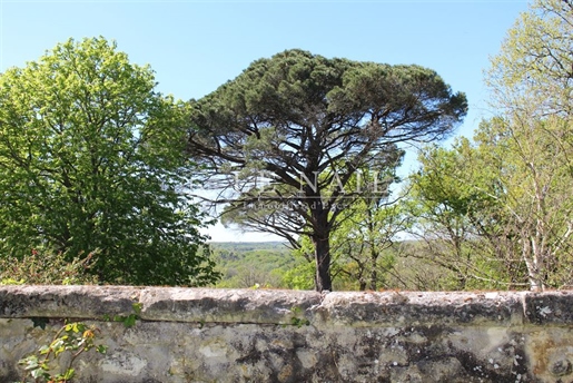 Riesiges Anwesen von 74 ha mitten in der Natur, 1 Stunde von Bordeaux entfernt
