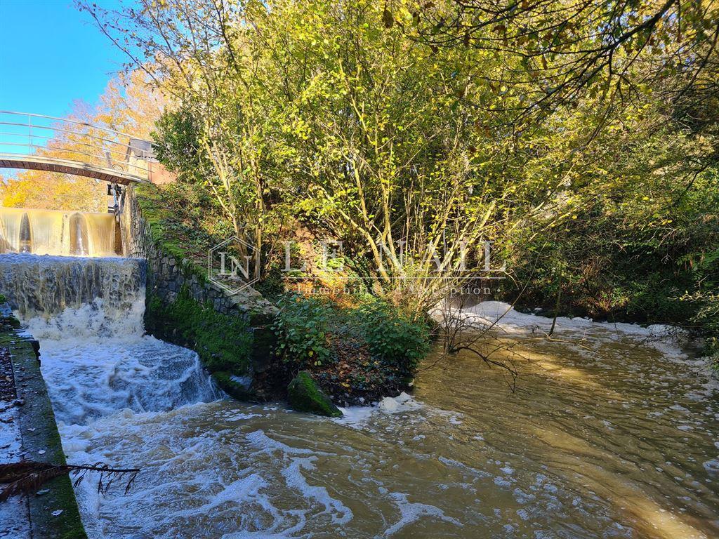 Rare 37-acre pond and mill in Pays de la Loire (Southern Mayenne department)