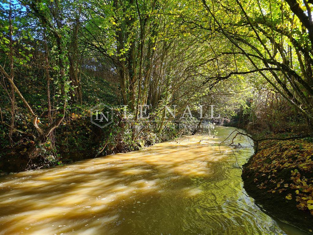 Rare 37-acre pond and mill in Pays de la Loire (Southern Mayenne department)