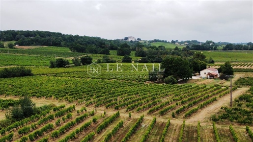 Wine-Producing Property In Dordogne, In Monbazillac
