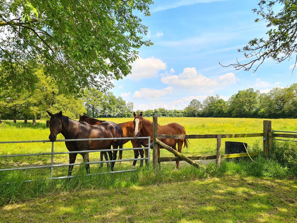 18Th C. House And Equestrian Facilities In Mayenne Departement, For Sale