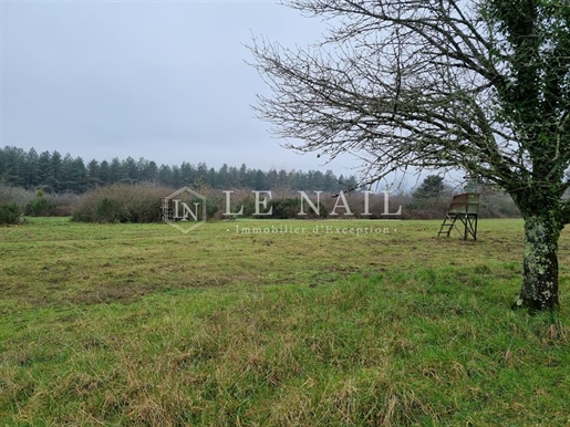 Exceptional hunting property of almost 444 acres enclosed in the heart of France (Sologne region)