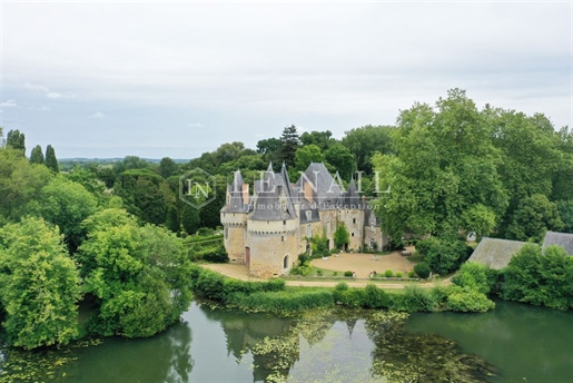 Exceptionnel château Monument Historique à vendre dans la Sarthe