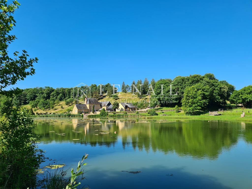 Magnificent french manor house for sale in Upper Loire Valley with large estate