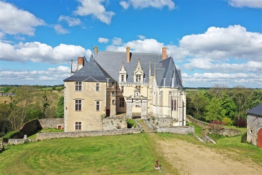 Beautiful listed castle for sale in Sarthe department