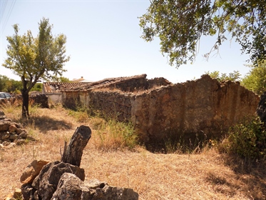 Ruiny z niezakłóconym terenem i widokami